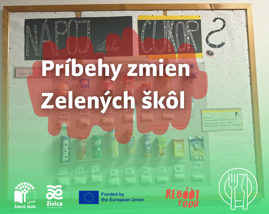Školský automat pod drobnohľadom